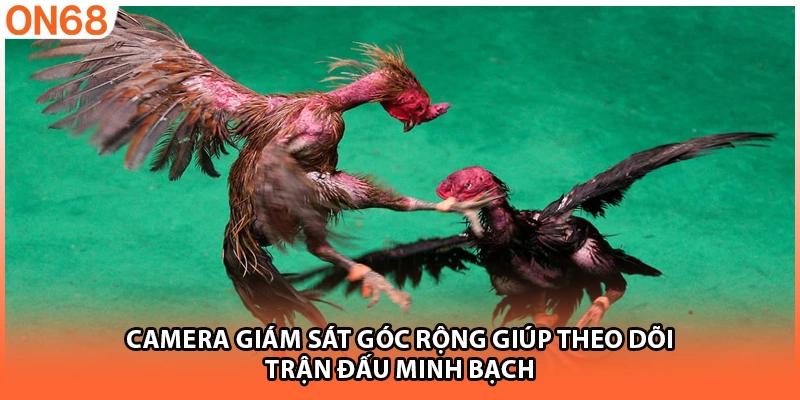 Camera giám sát góc rộng giúp theo dõi trận đấu minh bạch
